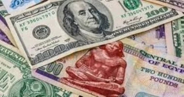 الدولار يحافظ على استقراره أمام الجنيه المصري اليوم