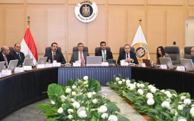 اجتماع وزارات الصناعة والزراعة والاستثمار وجهاز مستقبل مصر المستدامة لبحث سبل تعزيز زراعة وصناعة الكتان