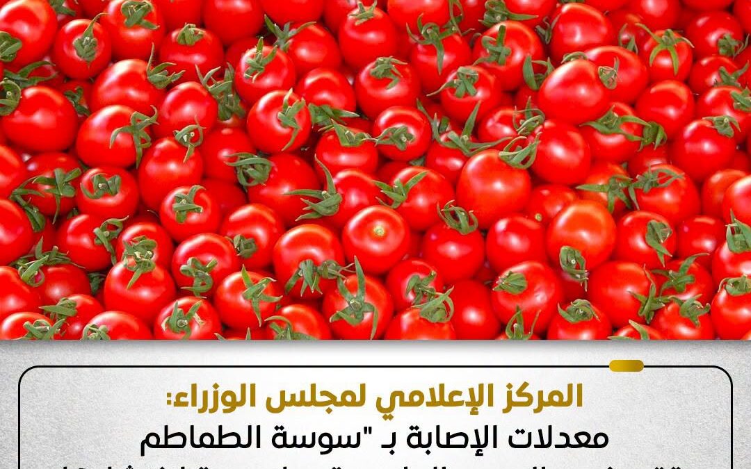 محصول الطماطم