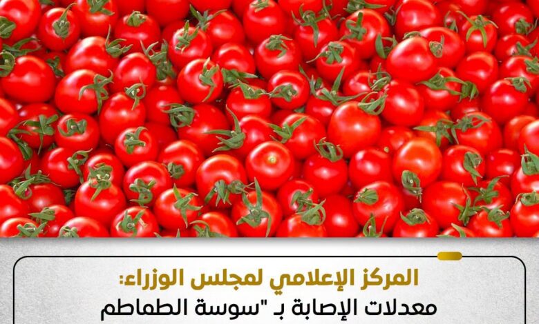 محصول الطماطم